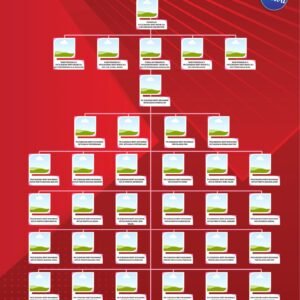 Template Carta Organisasi Kurikulum Design 3